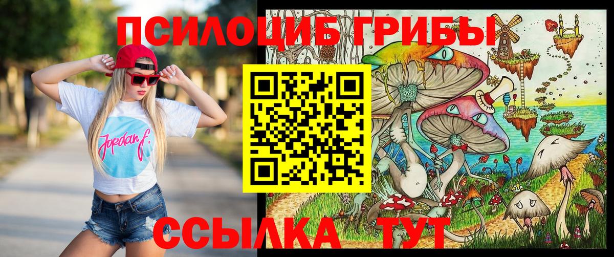 Псилоцибиновые грибы GOLDEN TEACHER Ейск